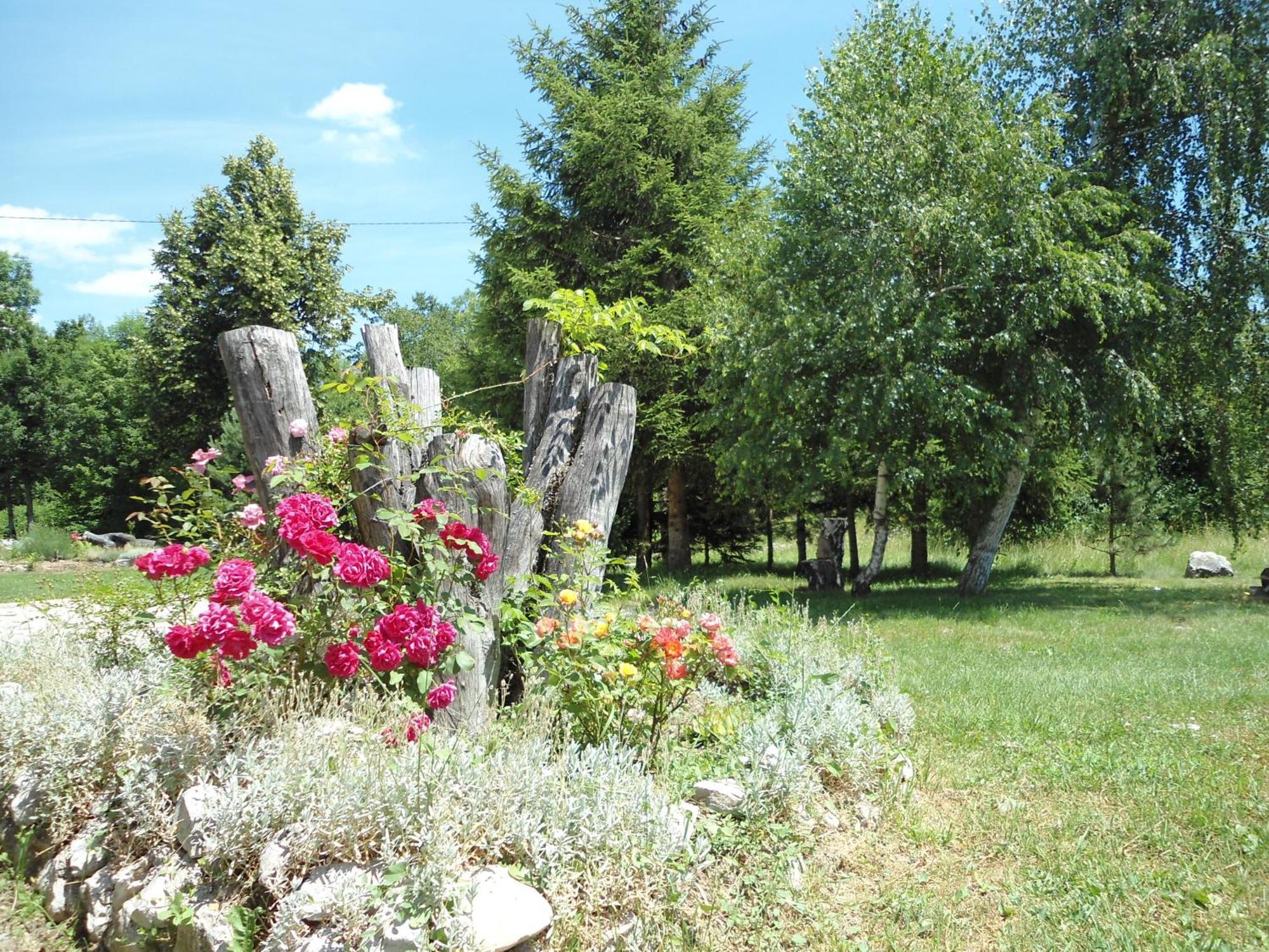 Galesic Apartments & Rooms Korenica Bagian luar foto